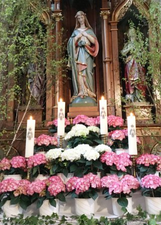 St. Martin Staufen: Marienalter geschmückt mit rosafarbenen und weißen Hortensien © V.Gäbke